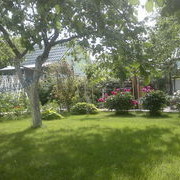 ���������� ��������, ���� ������� ����, 41 ���, ������������ ��� ������, ����� � ���������, c�������� ���������