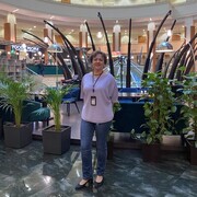 ���������� ������, ���� ������� ���������, 51 ���, ������������ ��� ����� � ���������, c�������� ���������