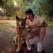 ���������� ������, ���� ������� LL, 36 ���, ������������ ��� ������, ���������