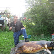  ,   , 72 ,   ,   , c 