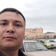 ���������� �������, ���� ������� Temur, 40 ���, ������������ ��� ������, ����� � ���������, c�������� ���������