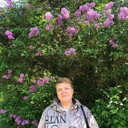  ,   , 46 ,   c 