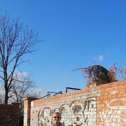 ���������� �����������, ���� ������� ������, 50 ���, ������������ ��� ������, ����� � ���������, c�������� ���������