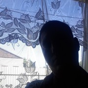  --,   , 38 ,  