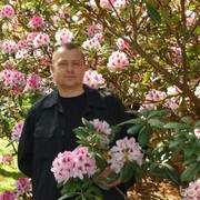  ,   Vitali, 57 ,   