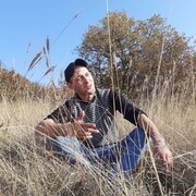 ���������� �����������, ���� ������� �����, 38 ���, ������������ ��� ������, ����� � ���������, c�������� ���������, ���������