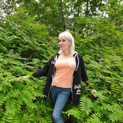 ���������� �����������, ���� ������� �����, 42 ����, ������������ ��� ����� � ���������, c�������� ���������, ���������