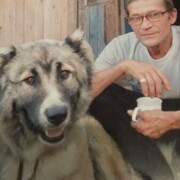   ,   , 65 ,   ,   