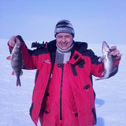 ���������� �������, ���� ������� ������, 49 ���, ������������ ��� ������, ����� � ���������, c�������� ���������