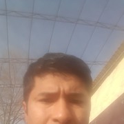  ,  , 41
