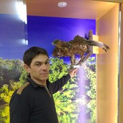 ���������� �����, ���� ������� ���, 44 ����, ������������ ��� ������, ����� � ���������, c�������� ���������