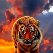 ���������� ������, ���� ������� �����, 30 ���, ������������ ��� ������, ����� � ���������