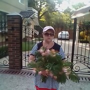   ,   , 66 ,   ,   