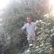 ���������� �������, ���� ������� ������, 50 ���, ������������ ��� ������, ����� � ���������