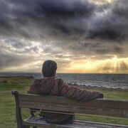 ���������� ������, ���� ������� ��������, 29 ���, ������������ ��� ������, ����� � ���������, c�������� ���������, ���������