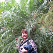 ���������� �����-���������, ���� ������� ����, 61 ���, ������������ ��� ������, ����� � ���������, c�������� ���������