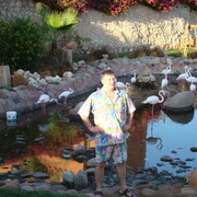 ���������� ������, ���� ������� ��������, 34 ����, ������������ ��� ������, ����� � ���������, c�������� ���������, ���������