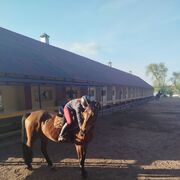 ���������� �����, ���� ������� ����, 22 ����, ������������ ��� ������, ����� � ���������, ���������