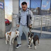 ���������� ���������, ���� ������� ����, 32 ����, ������������ ��� ������, ����� � ���������, c�������� ���������