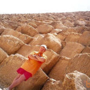 ���������� �������, ���� ������� �������, 45 ���, ������������ ��� ������