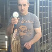  Patcham,  , 51