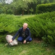 ���������� �����, ���� ������� �������, 40 ���, ������������ ��� ������, ����� � ���������