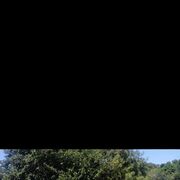 ���������� ���������, ���� ������� ����� ������, 37 ���, ������������ ��� ������, ����� � ���������, c�������� ���������, ���������