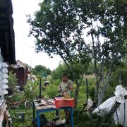 ���������� ���������, ���� ������� ����, 44 ����, ������������ ��� c�������� ���������, ���������