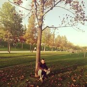 ���������� ���������, ���� ������� �����, 38 ���, ������������ ��� ������, ����� � ���������, c�������� ���������, ���������