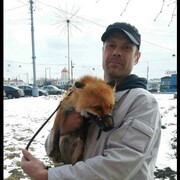 ���������� �����-���������, ���� ������� �����, 47 ���, ������������ ��� ����� � ���������, c�������� ���������