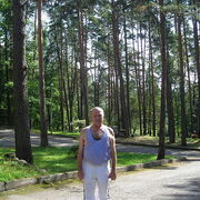  ,   vovc, 75 ,   c 