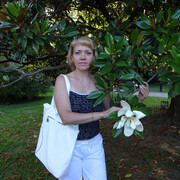 ���������� ������, ���� ������� ��������, 49 ���, ������������ ��� ������, ����� � ���������, c�������� ���������