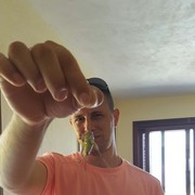  -,  , 40