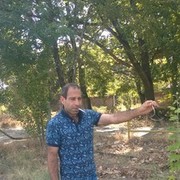 ���������� ������, ���� ������� A__b, 43 ����, ������������ ��� ������, ����� � ���������, c�������� ���������