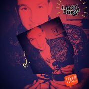 ���������� ������-��-����, ���� ������� �����, 29 ���, ������������ ��� ������, ����� � ���������, c�������� ���������