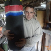  ,   , 41 ,  
