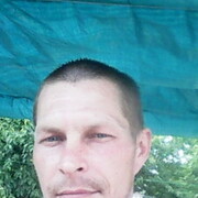  ,   ϸ, 41 ,     , c 