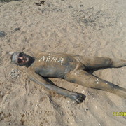 ���������� ������, ���� ������� ������, 51 ���, ������������ ��� ������, ����� � ���������, c�������� ���������