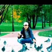 ���������� ������, ���� ������� ���������, 36 ���, ������������ ��� ������, ����� � ���������