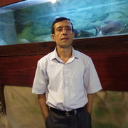  ,   Elnur, 46 ,   