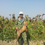  -,   Mircea, 37 ,     , c 