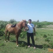  ,   Vor, 41 ,   ,   , c , 