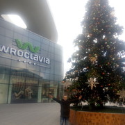 ���������� ��������, ���� ������� ����, 36 ���, ������������ ��� ������, ����� � ���������, c�������� ���������