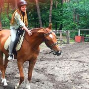 ���������� ������������, ���� ������� �����, 37 ���, ������������ ��� ������, ����� � ���������