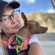 ���������� ������, ���� ������� �����, 44 ����, ������������ ��� ������, ����� � ���������, c�������� ���������