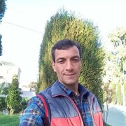 ���������� ����, ���� ������� ����, 48 ���, ������������ ��� ����� � ���������, c�������� ���������