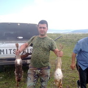 ���������� �������, ���� ������� Bachi, 41 ���, ������������ ��� ������, ����� � ���������, c�������� ���������