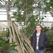 ���������� ������, ���� ������� ���������, 51 ���, ������������ ��� ������