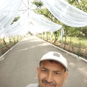  ,       , 53 ,   