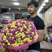 ���������� ������, ���� ������� �����, 27 ���, ������������ ��� ������, ����� � ���������